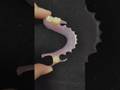 ভ্যালপ্লাস্ট প্রোটেট