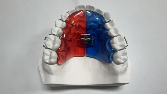 কেনা দাঁতের জীবাণুমুক্তকরণের জন্য ২.৪ আউন্স ইমপ্লান্ট কেস, বাষ্প নির্বীজন online manufacture