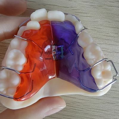 কেনা কাস্টমাইজড সমাধানের জন্য মসৃণ পৃষ্ঠ প্লাস্টিক ইমপ্লান্টেশন দৃশ্যকল্প online manufacture